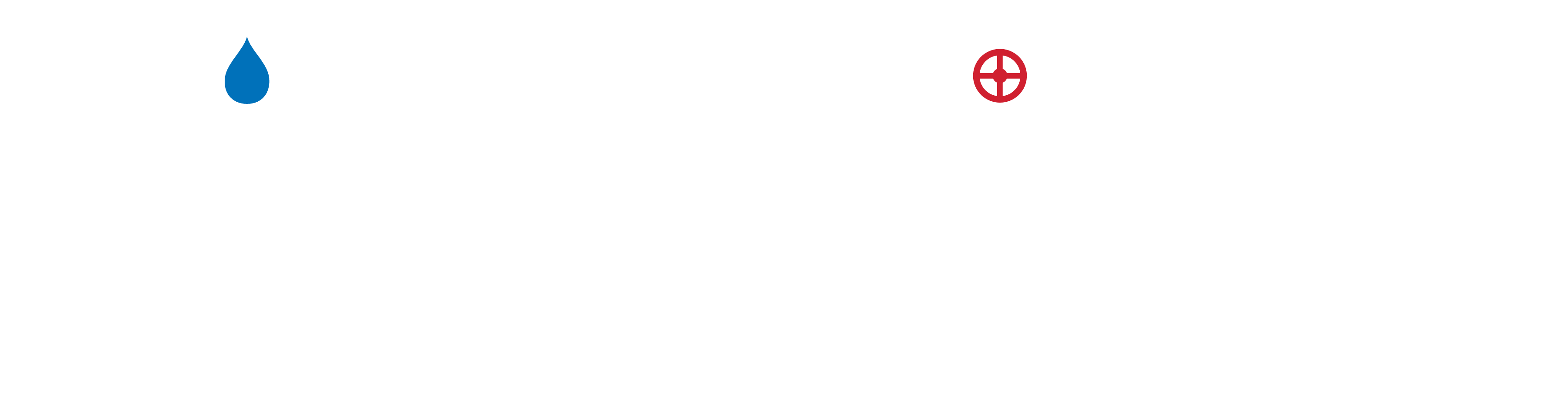 Zion Services, LLC